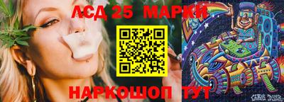 спиды Будённовск
