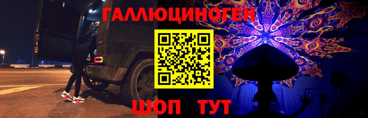 Псилоцибиновые грибы прущие грибы  Вход с VPN  Топки  Псилоцибиновые грибы Cubensis 