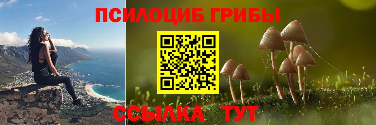 Псилоцибиновые грибы прущие грибы Топки